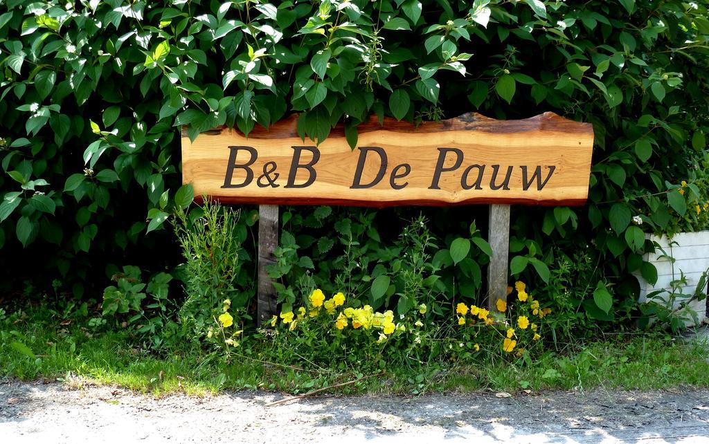 Bed En Breakfast De Pauw Wieringerwaard Habitación foto