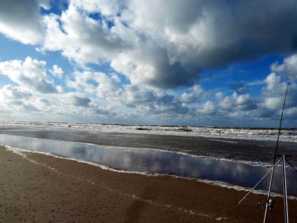 Bed En Breakfast De Pauw Wieringerwaard Exterior foto